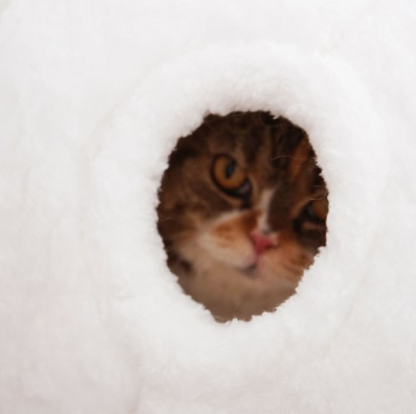 Purroom Little Chicken Series – “Little Chicken Bun” Plush Cat Bed