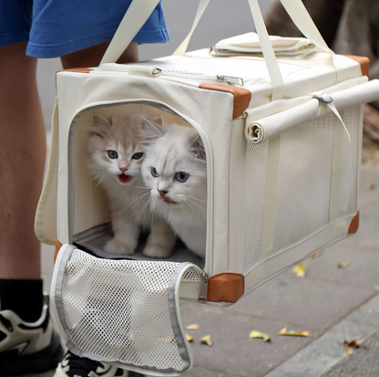 Oxford Boxy Pet Travel Tote Carrier for Cats & Small Dogs