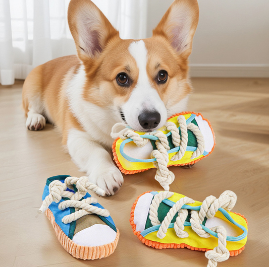 Shoe Chew Toy – Squeaky Tug & Teething Fun for Dogs