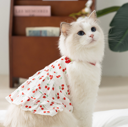 Cherry Suspender Pet Dress with D-Ring for Cats & Small Dogs