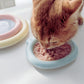 Artisan Ceramic Pet Food Plates Cat Bowl And Small Dog Bowl