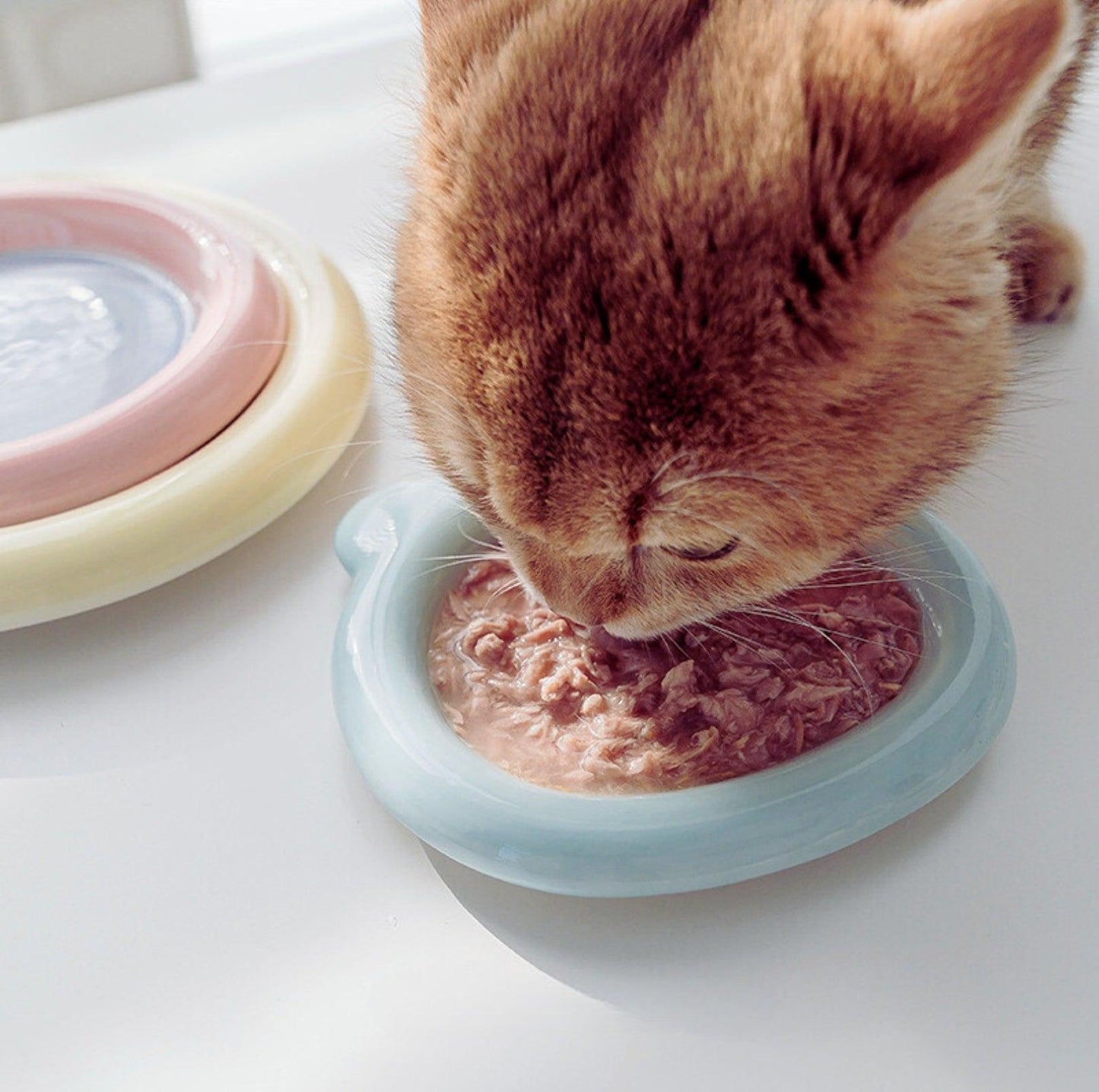 Artisan Ceramic Pet Food Plates Cat Bowl And Small Dog Bowl