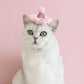 Pet Birthday Hat - Ultimate Party Gear for Pets