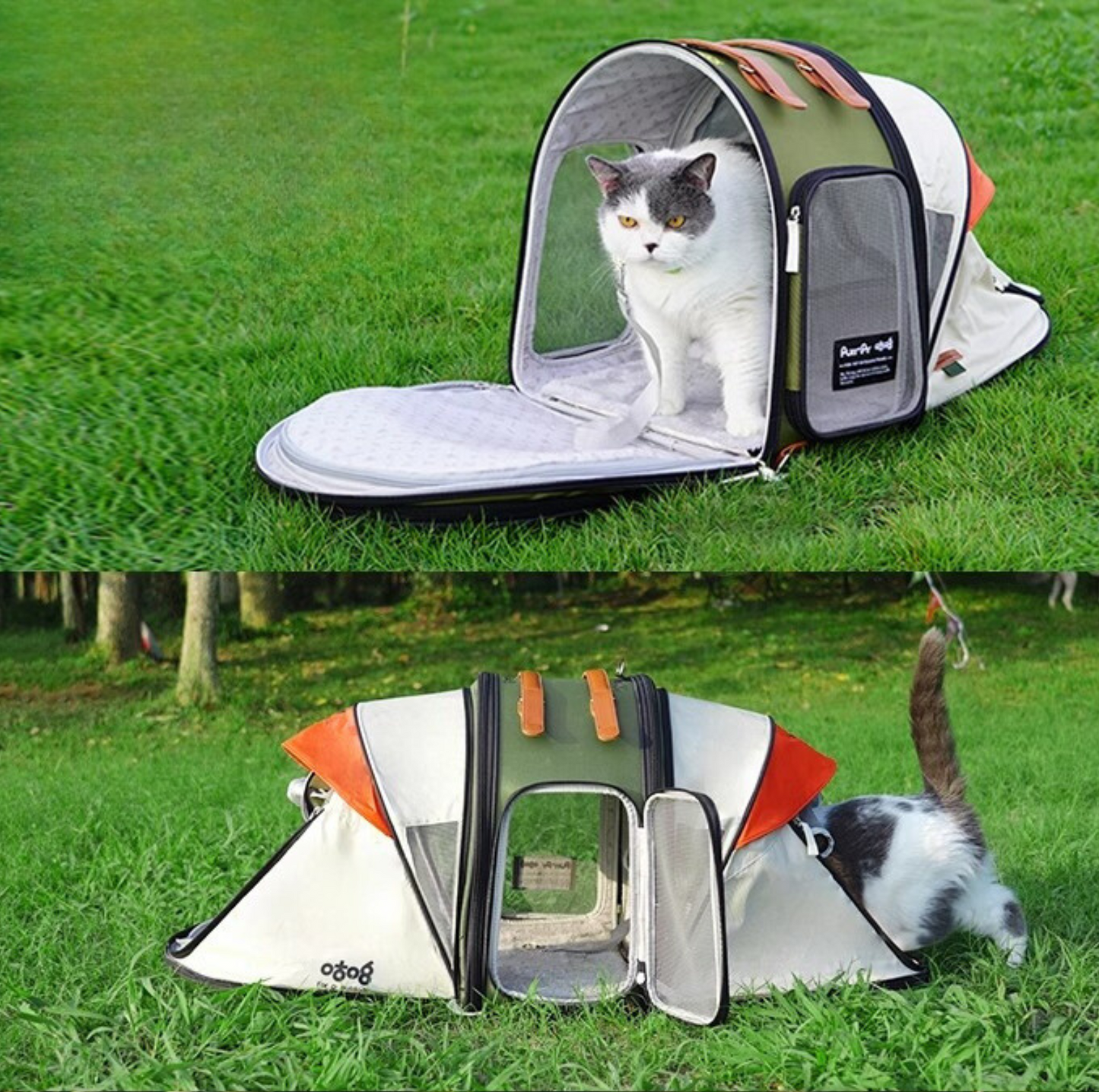 Purrpy Multifunctional Pet Backpack & Tent