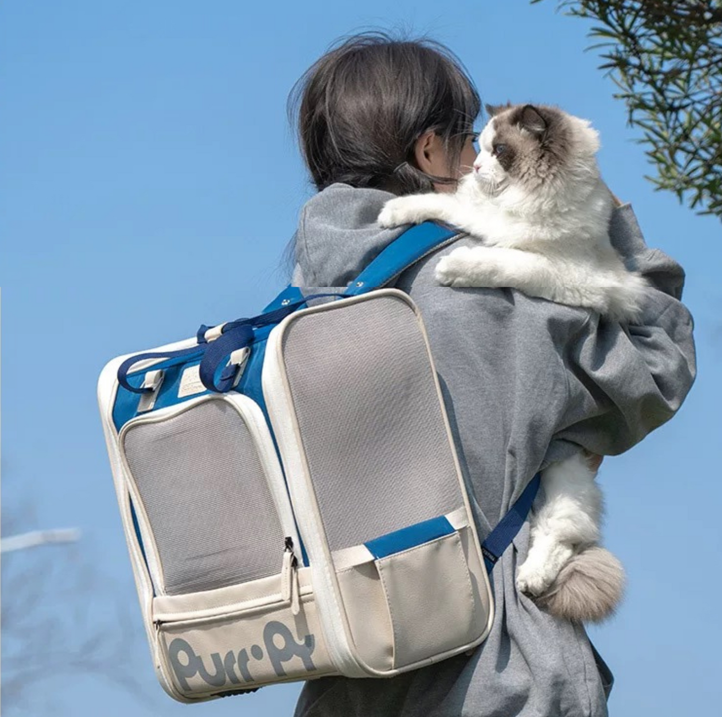 Purrpy Elegant Pet Backpack