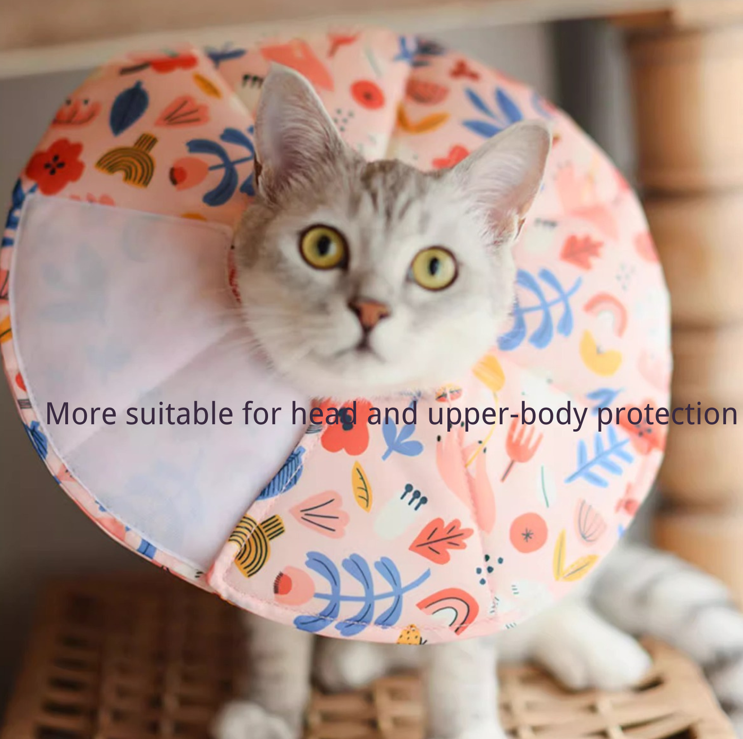 Soft Multi-Use E-Collar for Cats & Small Dogs