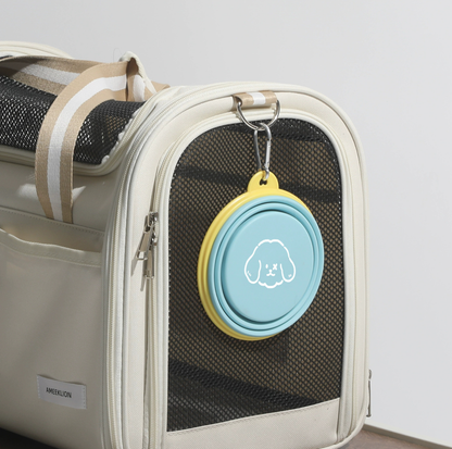 Cartoon Collapsible Travel Pet Bowl with Carabiner