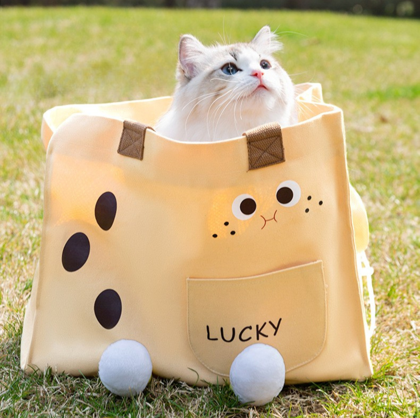 All-Season Pet Travel Tote – Breathable Canvas Carrier for Cats & Small Dogs