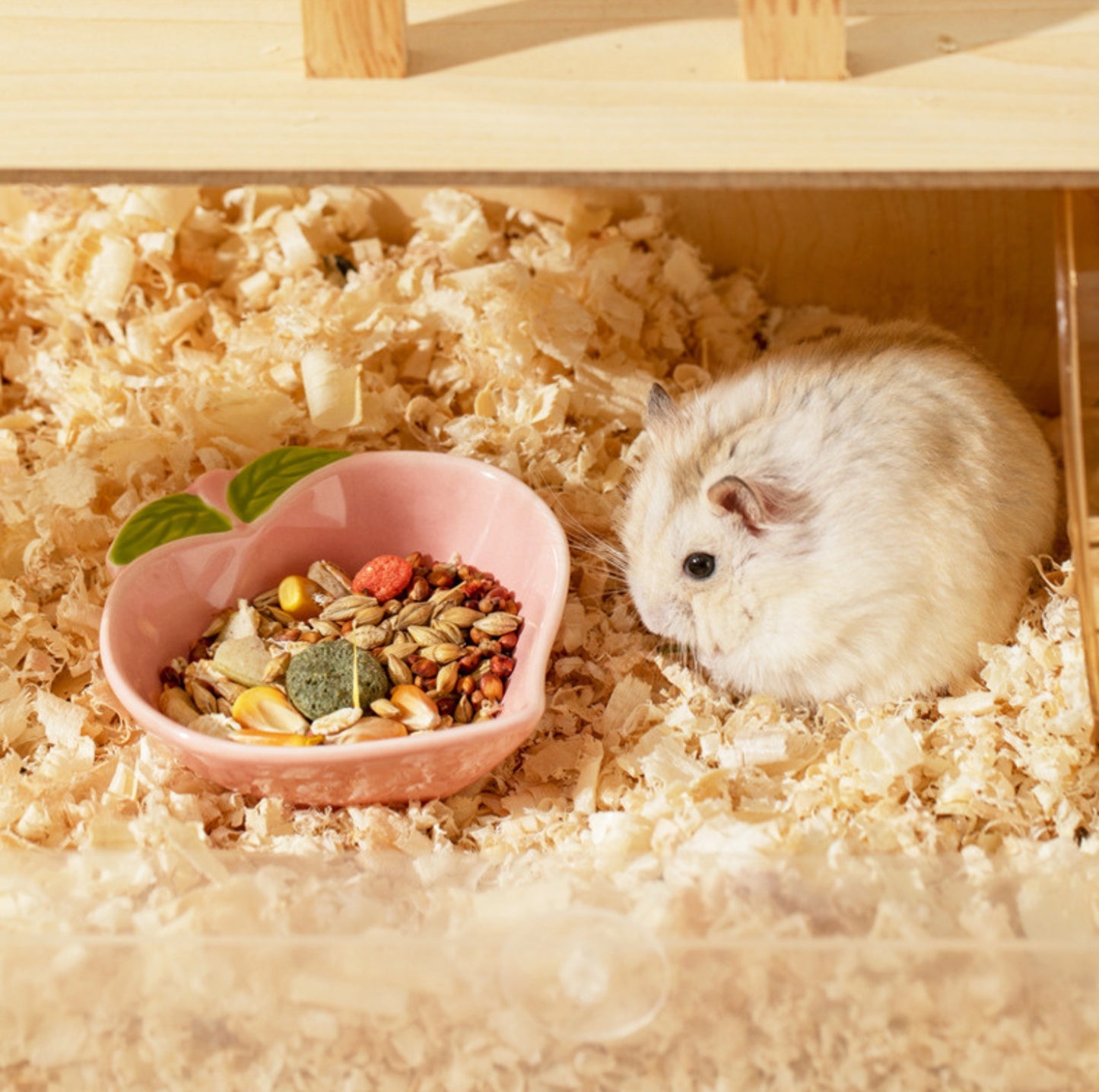 Fruit-shaped Small Animal Feeding Bowl