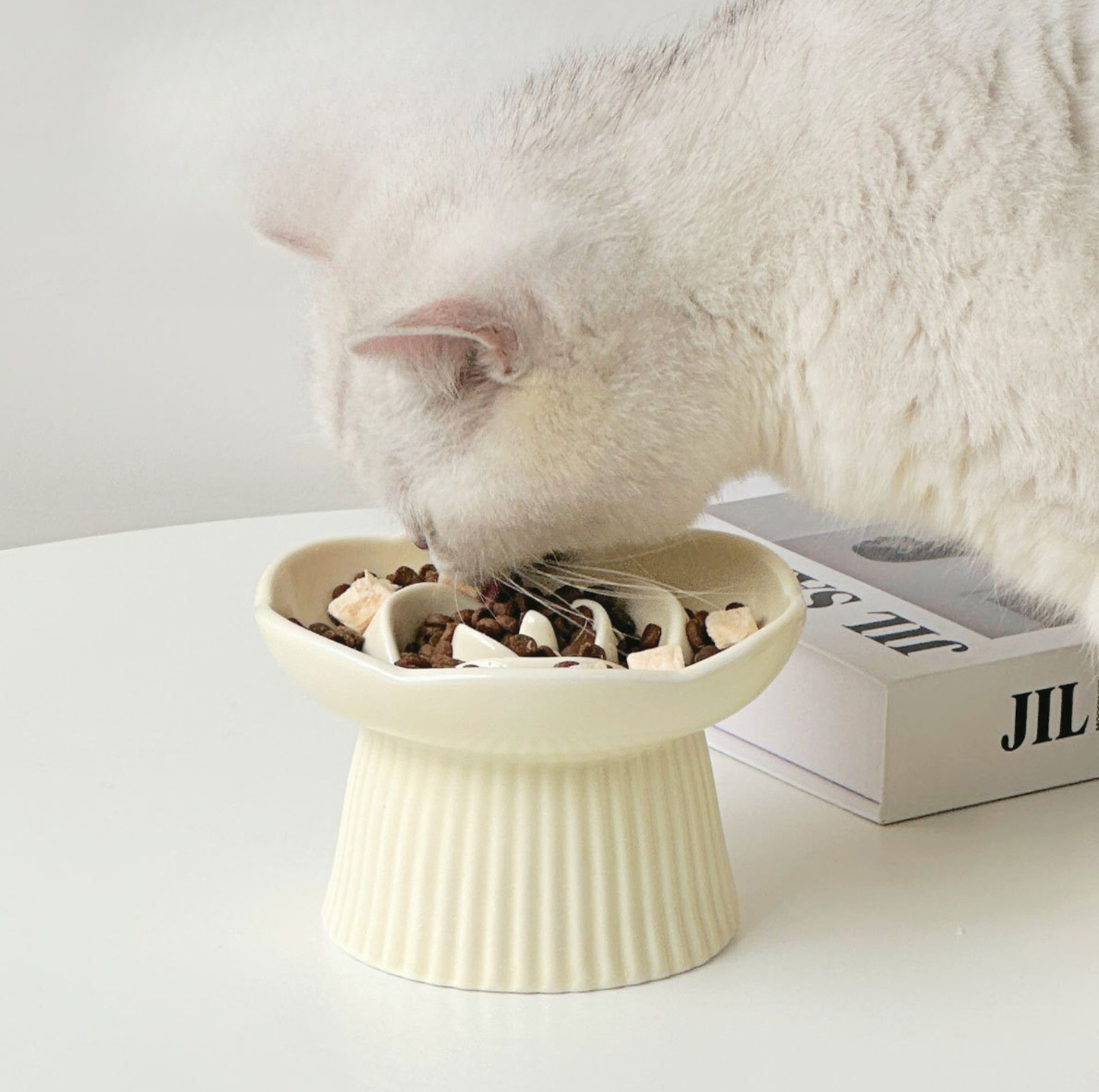 Rose-Styled Elevated Ceramic Pet Slow Feeder