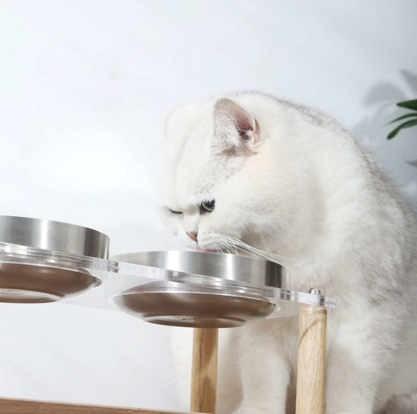 304 Stainless Steel Pet Food Bowl With Acrylic Stand