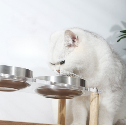 304 Stainless Steel Pet Food Bowl With Acrylic Stand