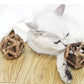 Natural Catnip & Polygonum Ball Cat Toys - Stress Relief for Delighted Cats