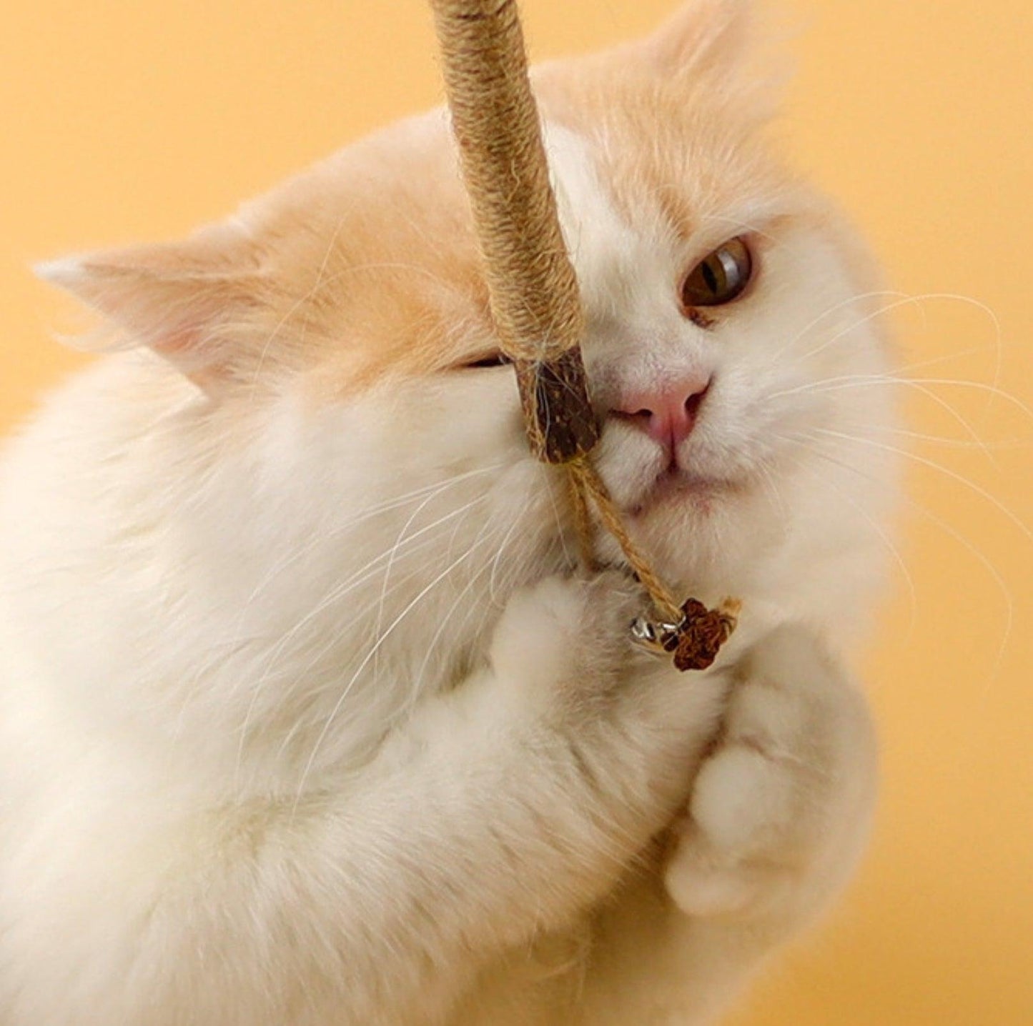 Feathered Catnip Stick Cat Toy - Exciting Playtime with Bell & Raffia Grass