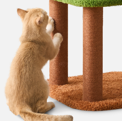Jungle-Style 3-Level Small Cat Tree