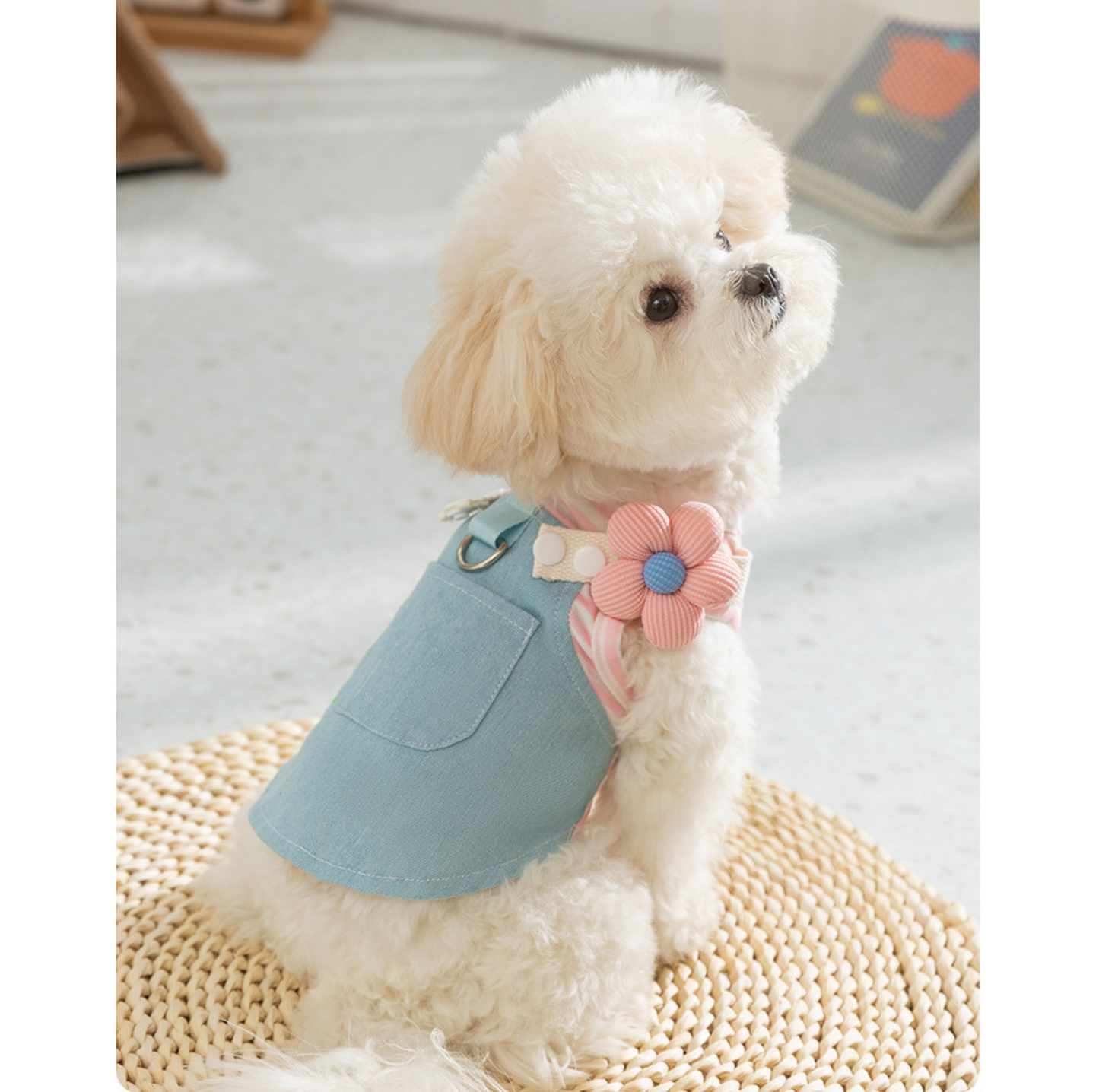Denim Patchwork Pet Dress with D-Ring for Cats & Small Dogs