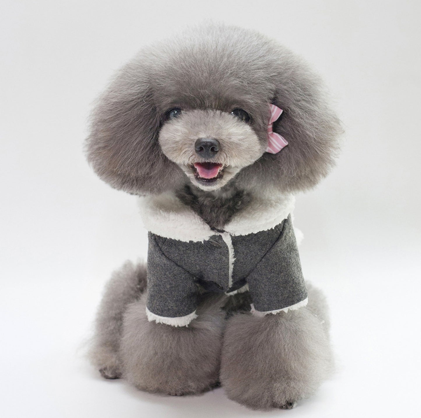 Nordic-Style Dog Cotton Jacket