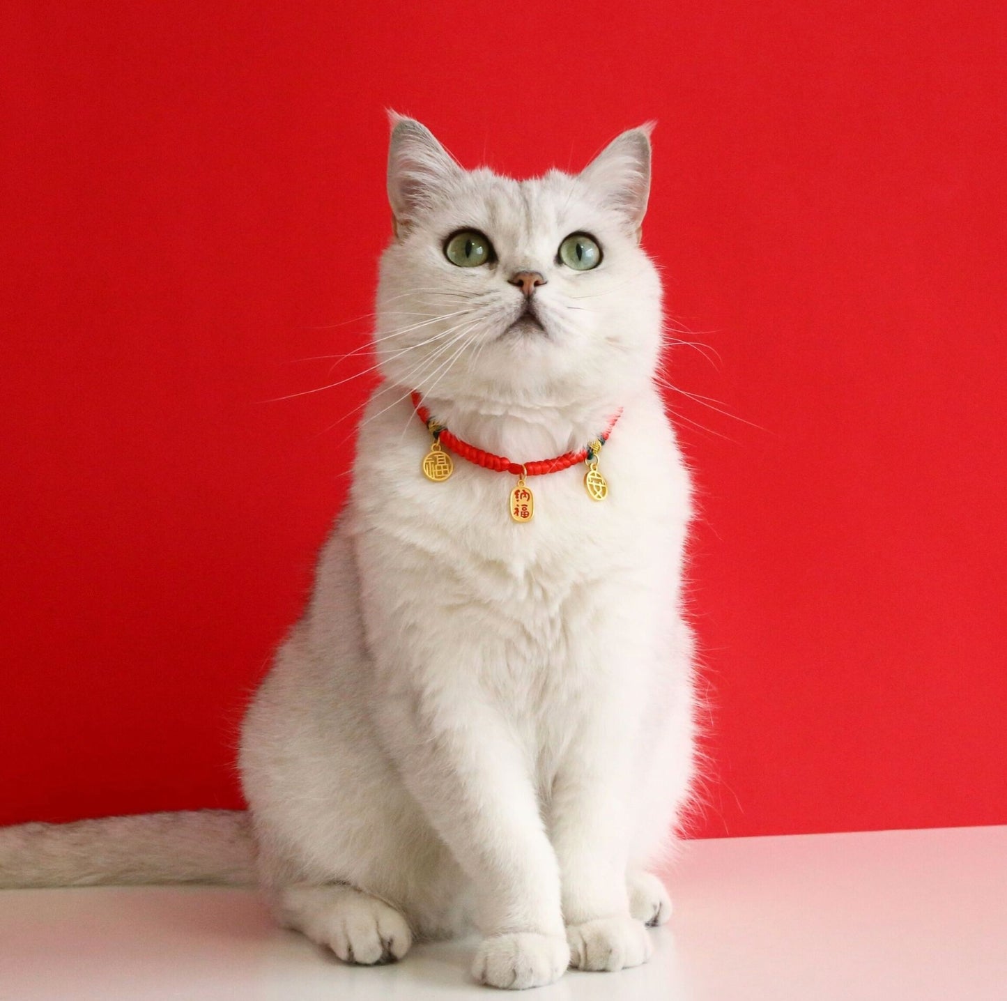 Adjustable Red Cord Pet Collar with Chinese Wishes Pendants