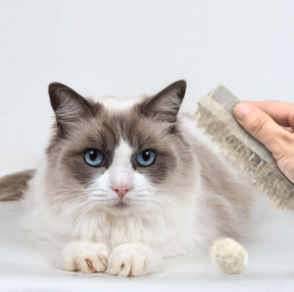 Dual-Sided Silicone Grooming and Lint Remover for Pets and Home
