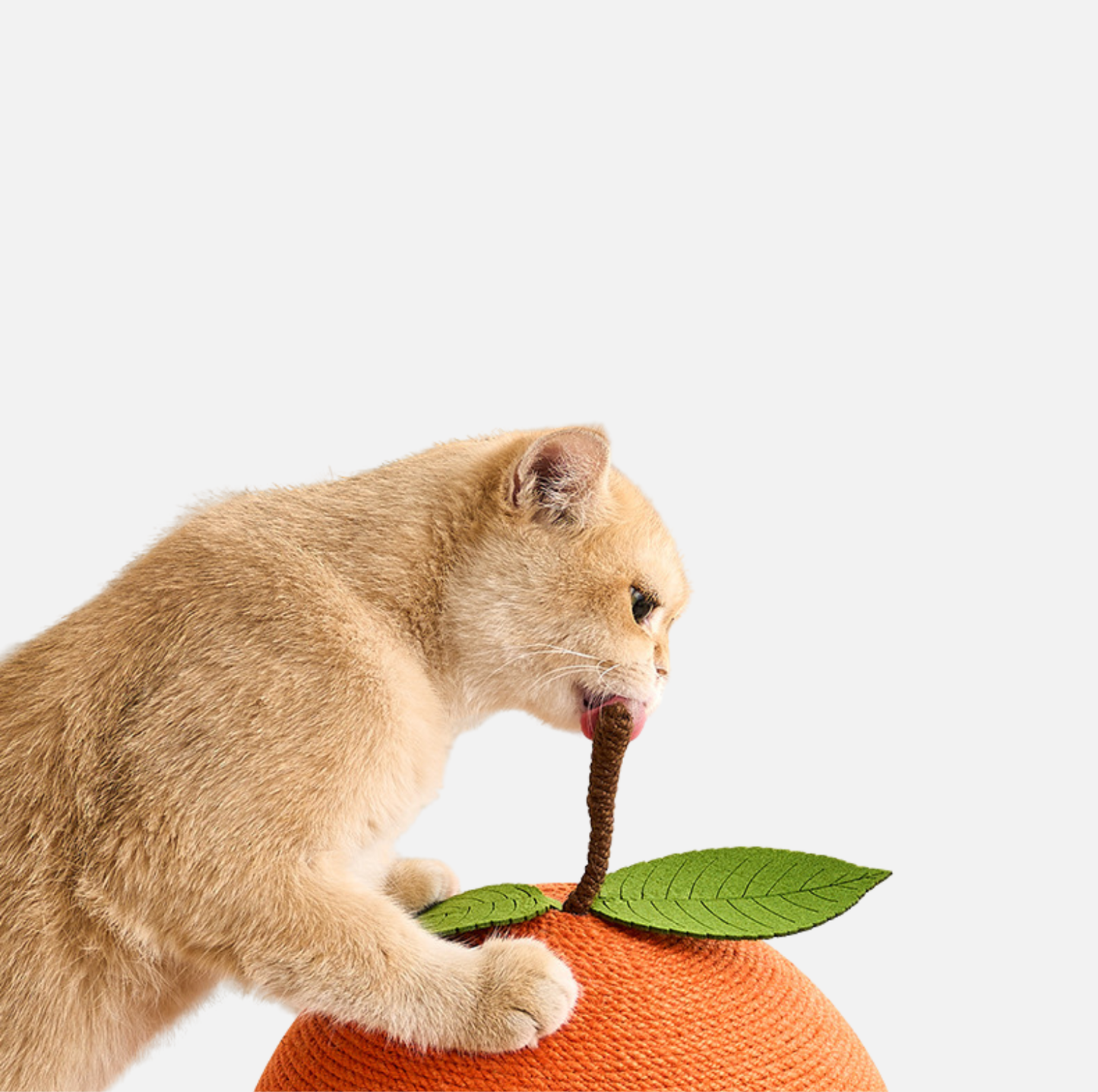 Sisal Ball Cat Scratcher with Track Toy