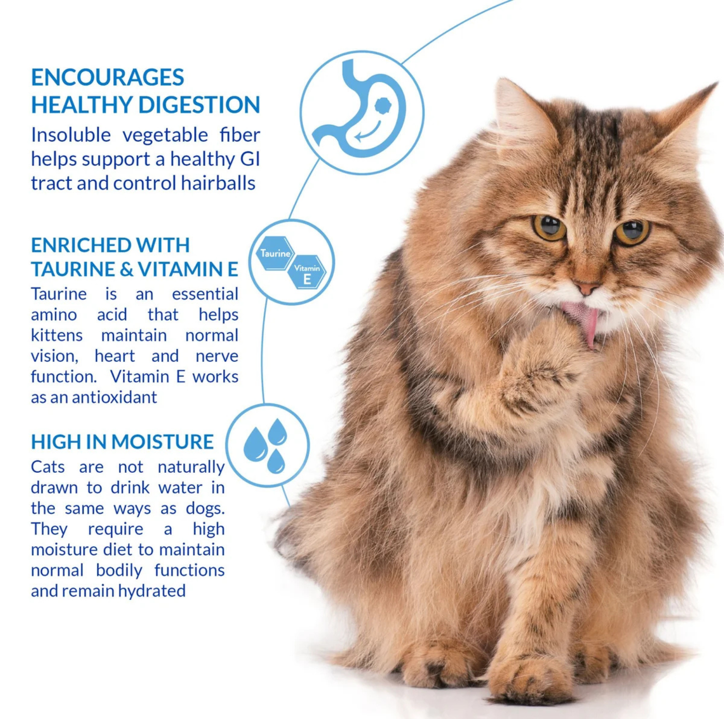 INABA Churu Hairball Control Chicken Recipe Cat Treats – 4 x 14g