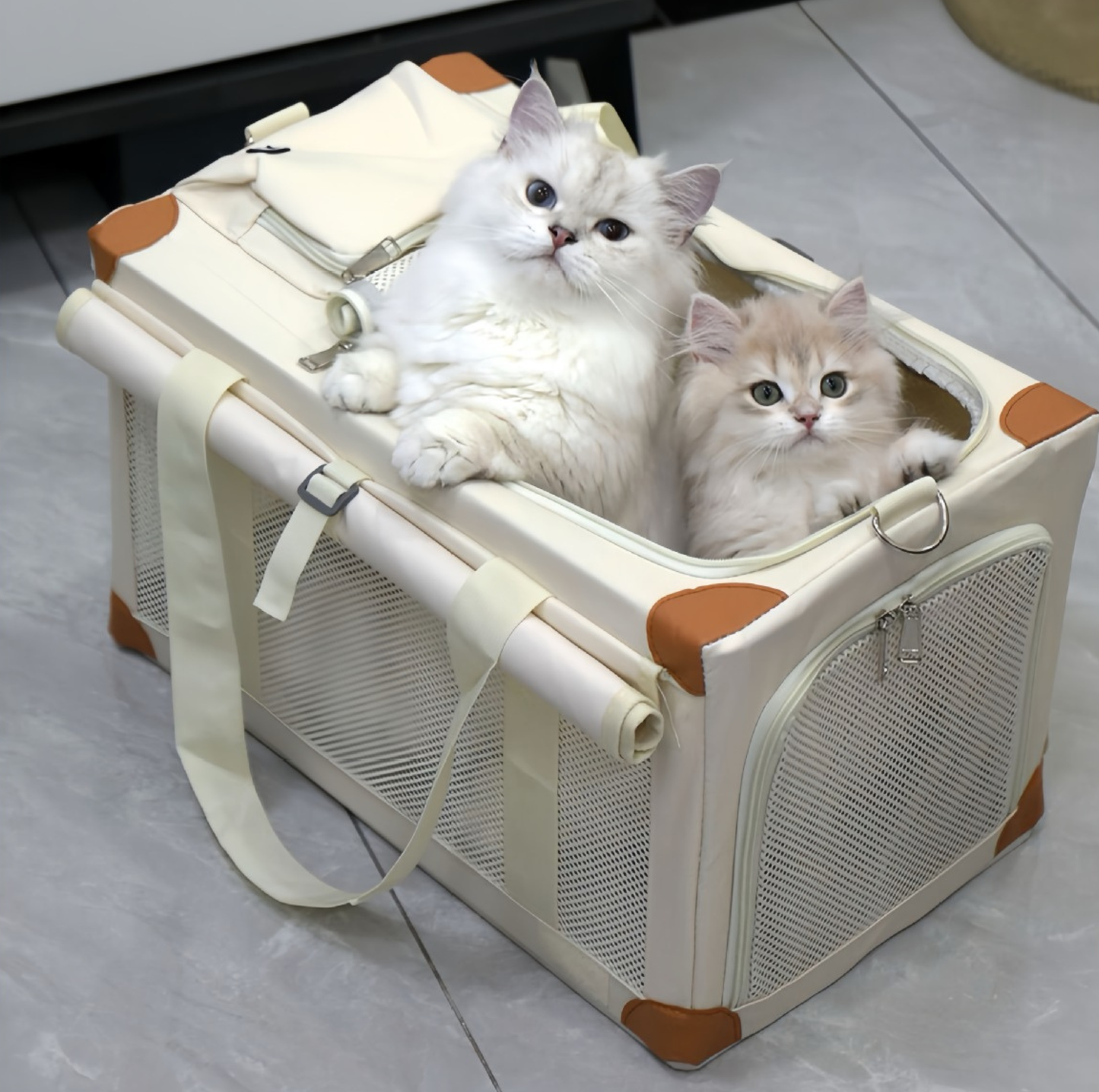 Oxford Boxy Pet Travel Tote Carrier for Cats & Small Dogs