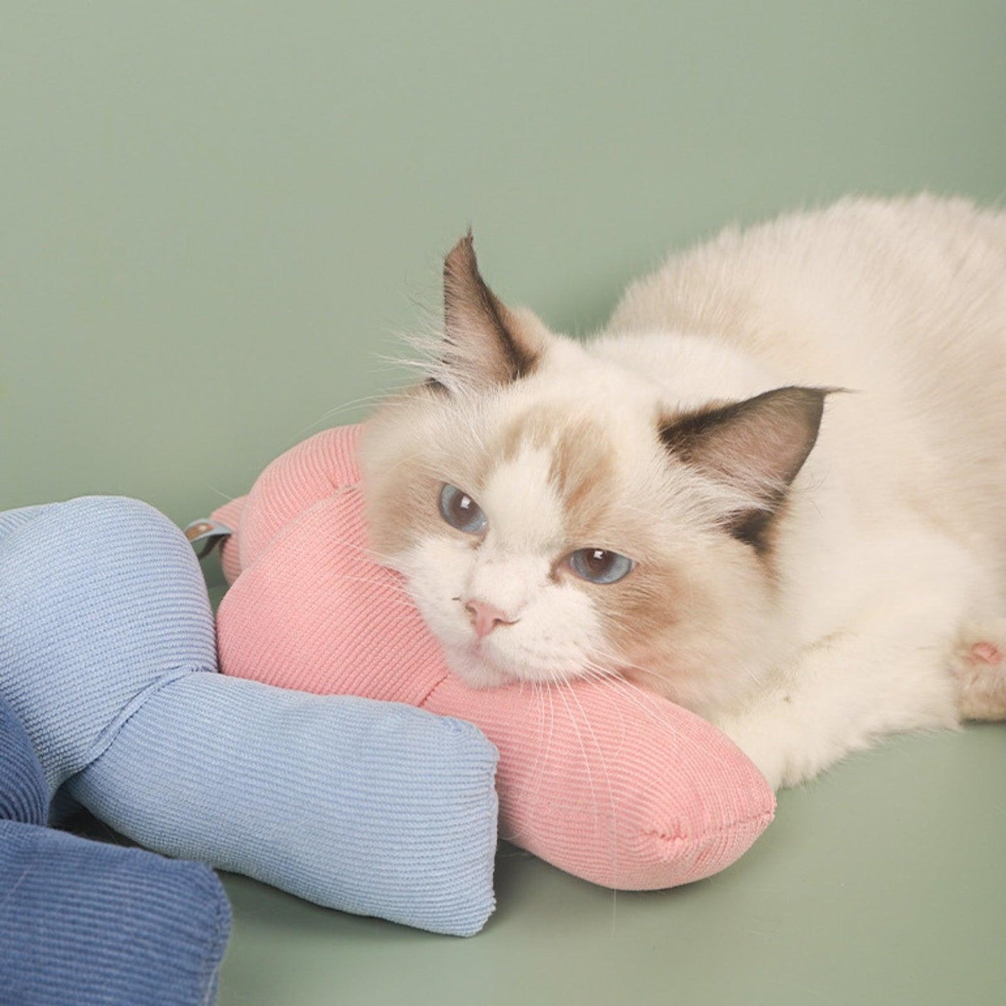 Candy-Shaped Plush Cat and Dog Chew Toy