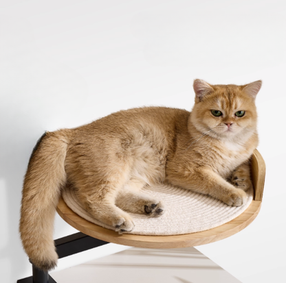 Desk-Mounted Oak Cat Bed – Space-Saving Elevated Perch for Cats up to 10kg
