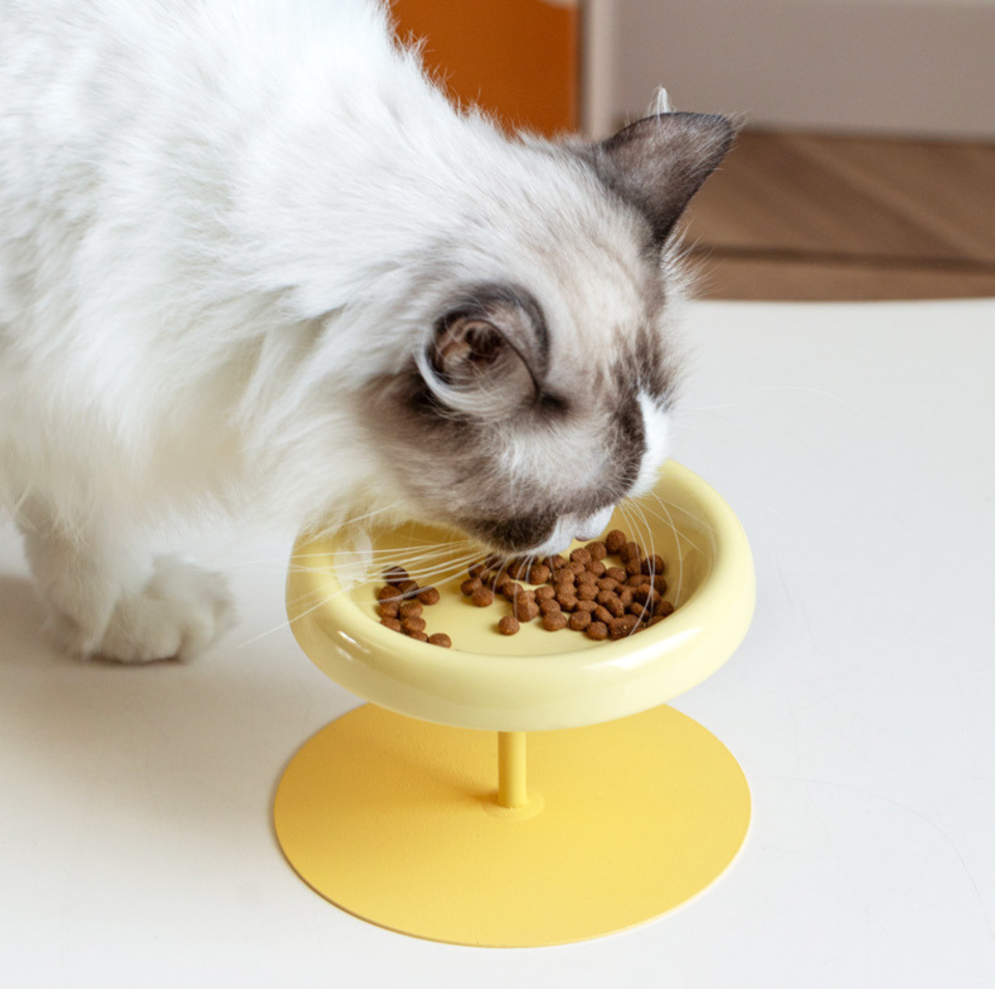 Aura Ceramic Pet Bowl with Metal Stand