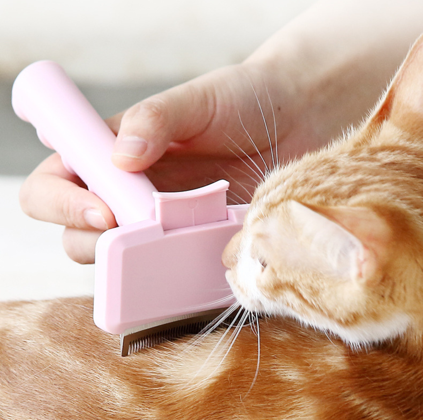 One-Click Self-Cleaning Pet Undercoat Deshedding Brush for Cats & Dogs
