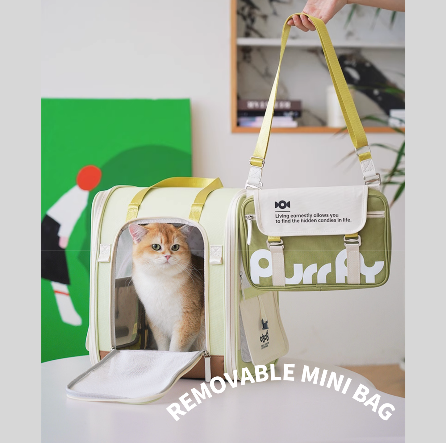 PurrPy Pet Travel Backpack with Detachable Mini Bag-Autumn Colours