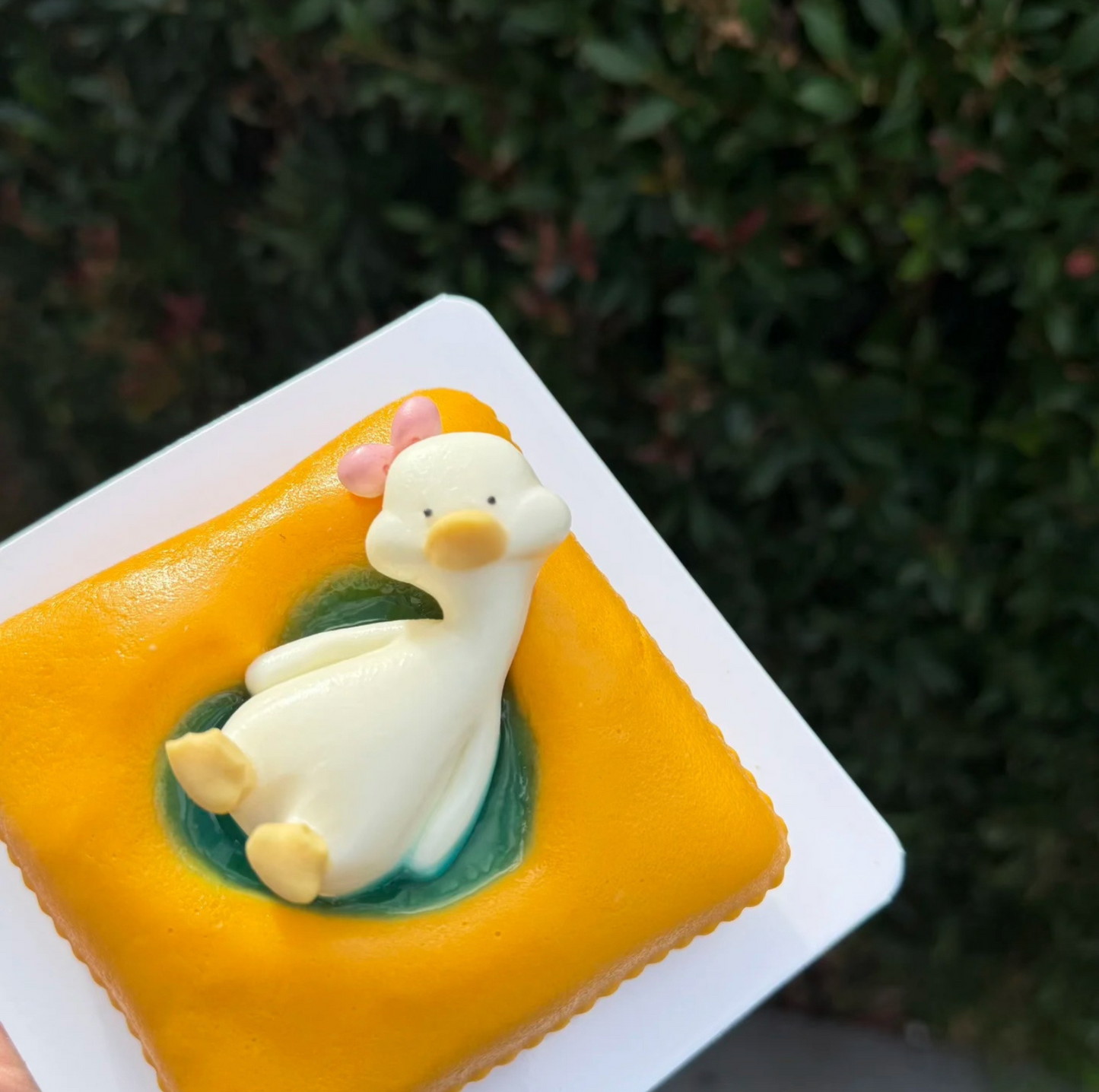 Le Petit Paws:Pet Pumpkin Pillow Mousse