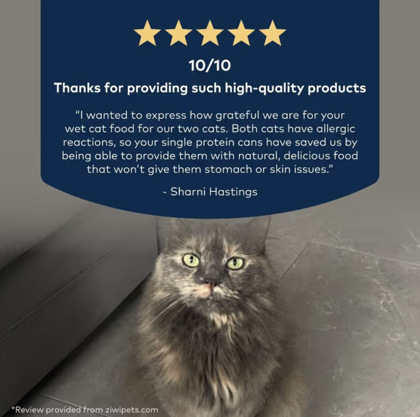 ZIWI Beef All Lifestages Wet Cat Food Cans 85g