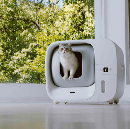 Furbulous Box+Cube Pet Care Bundle