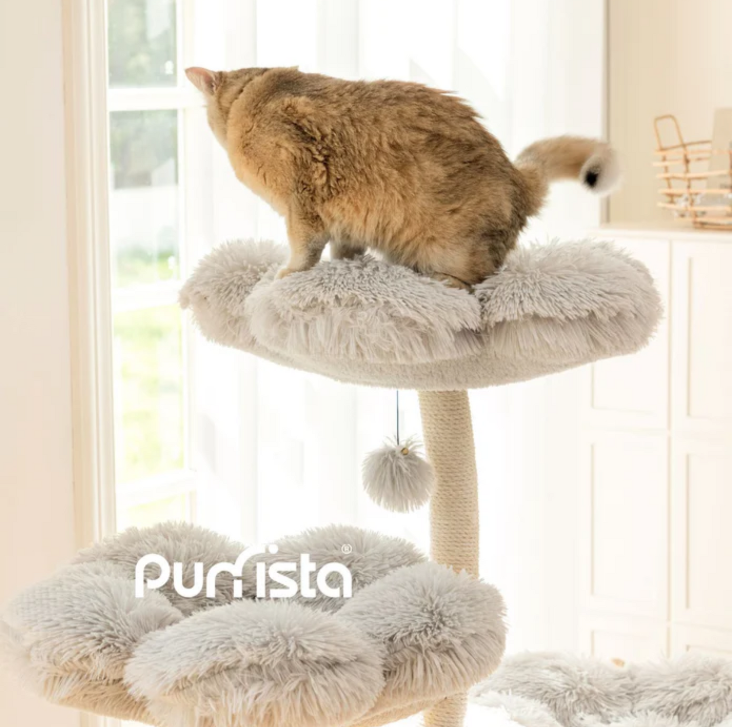 Purrista Mushroom Ice Cream 120cm Cat Tree (Three-Layer) - Grey