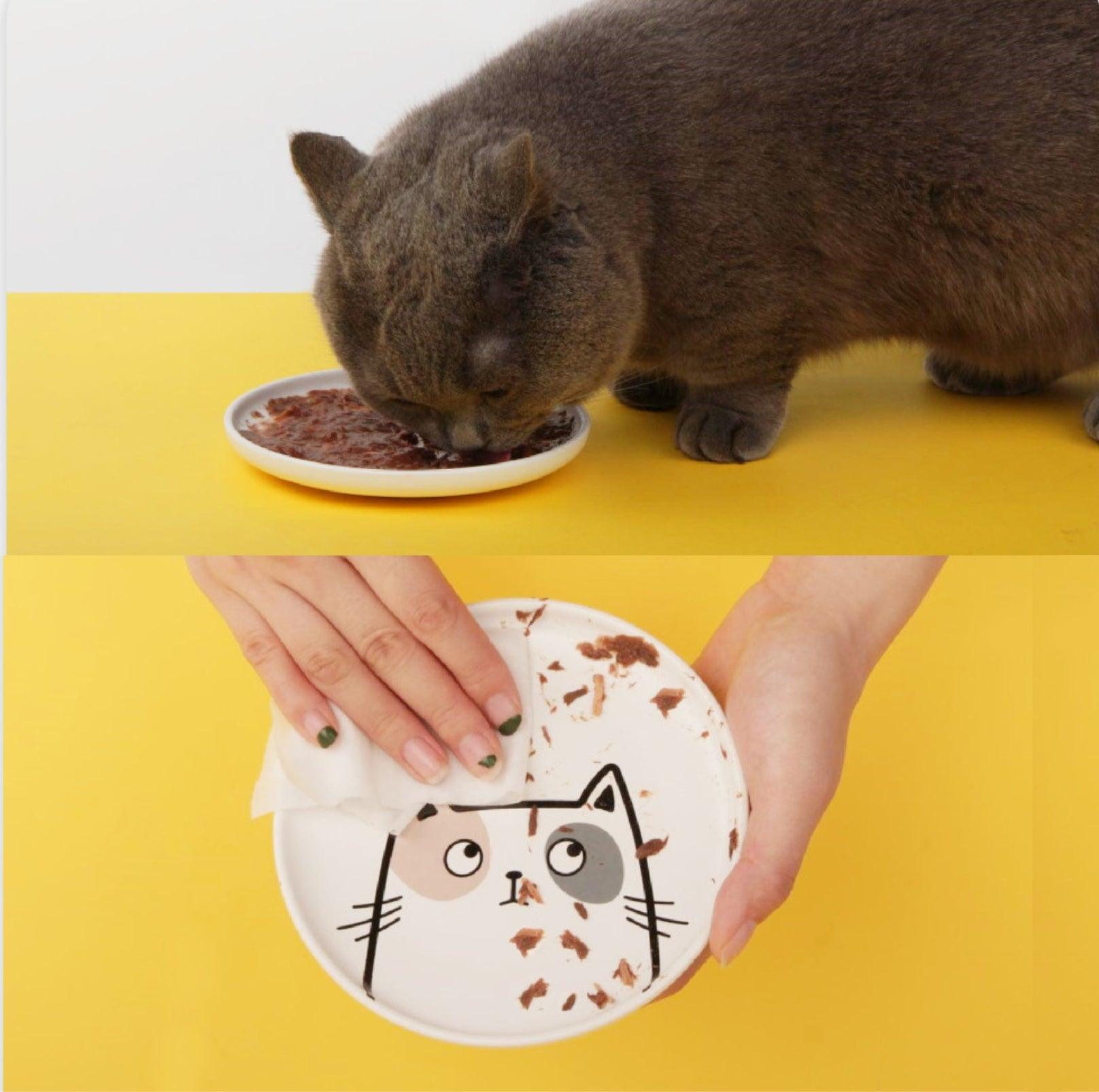 Small best sale cat dishes