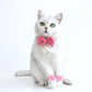 Lace & Glitter Pet Birthday Celebration Kit - Hat, Bowtie & Paw-Rings