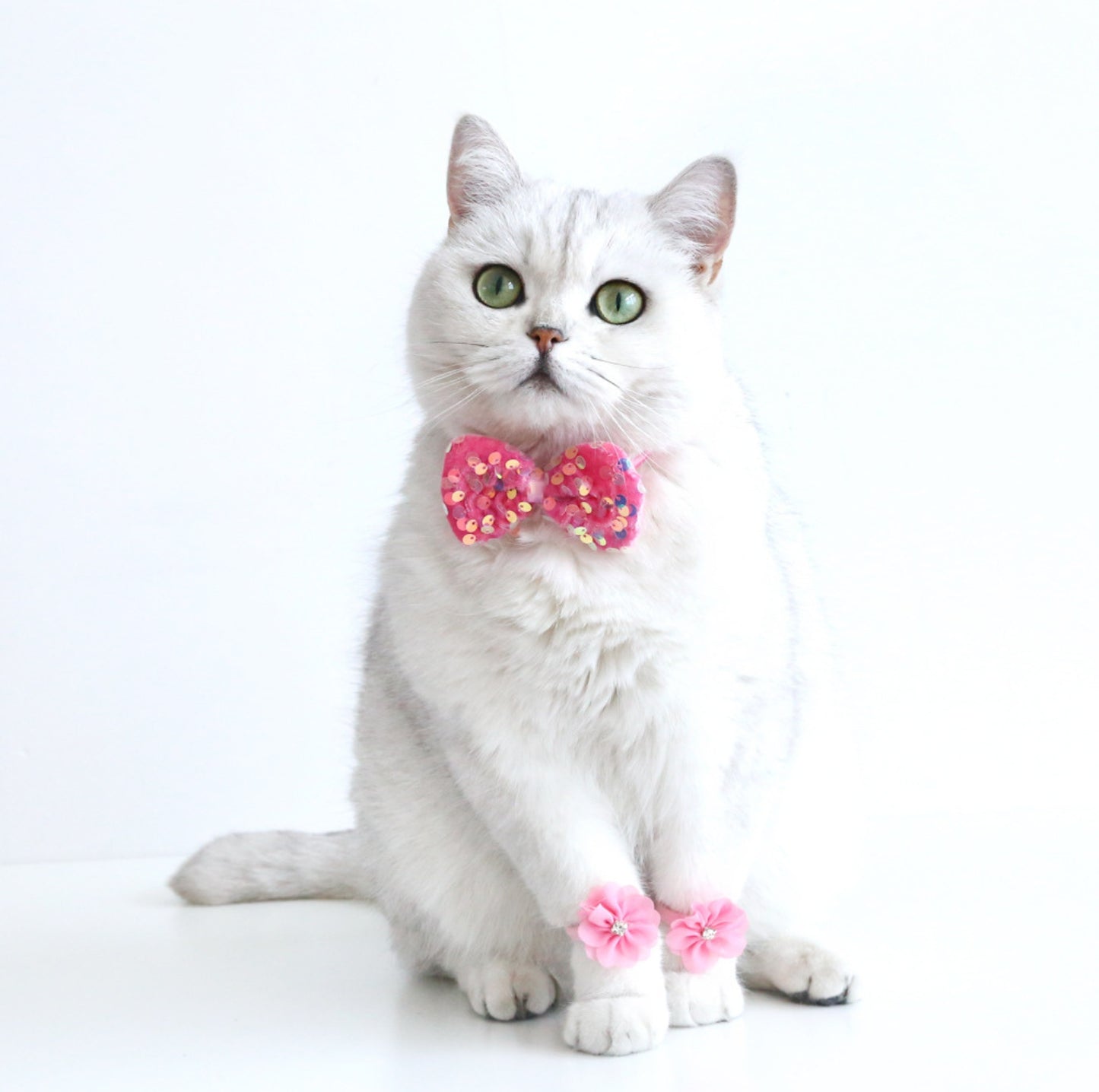 Lace & Glitter Pet Birthday Celebration Kit - Hat, Bowtie & Paw-Rings