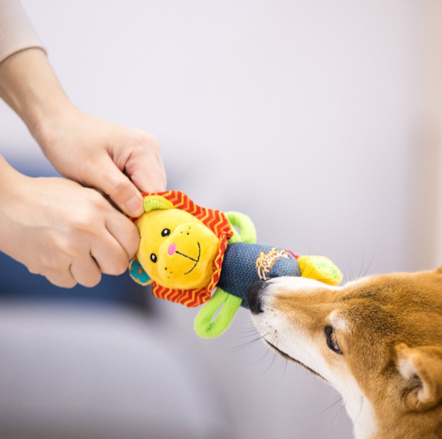 GiGwi Honour Series - Interactive Plush Squeaky Toys for Small Dogs
