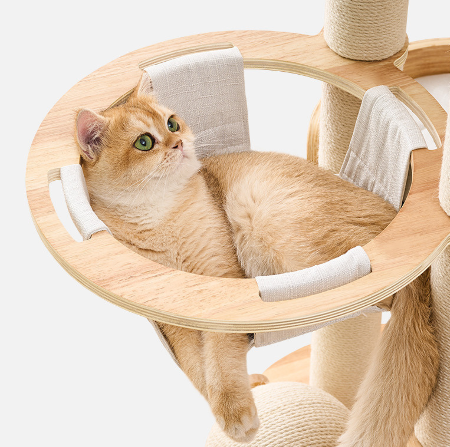 Loft Wooden Multi-Level Cat Tree