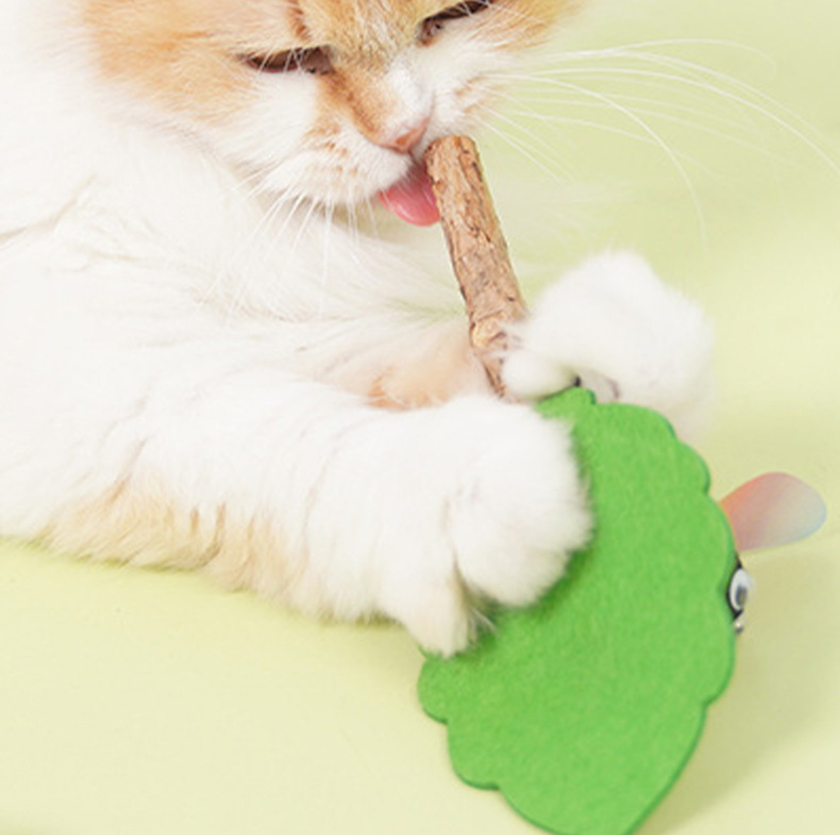 Cartoon Insect Silvervine Cat Chew Toy