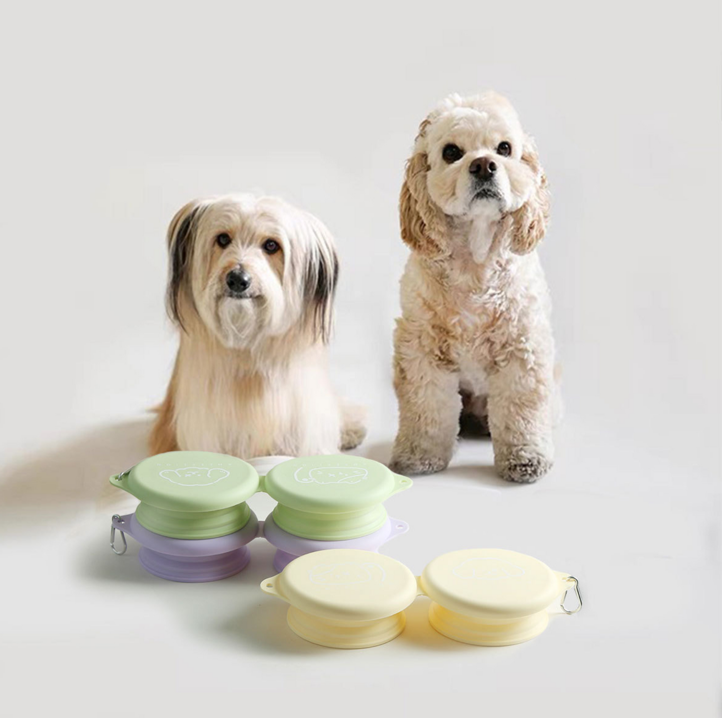 Silicone Foldable Double Pet Feeding Bowl - Portable & Travel-Friendly