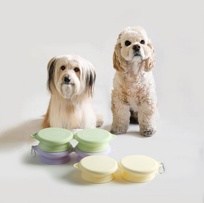 Silicone Foldable Double Pet Feeding Bowl - Portable & Travel-Friendly