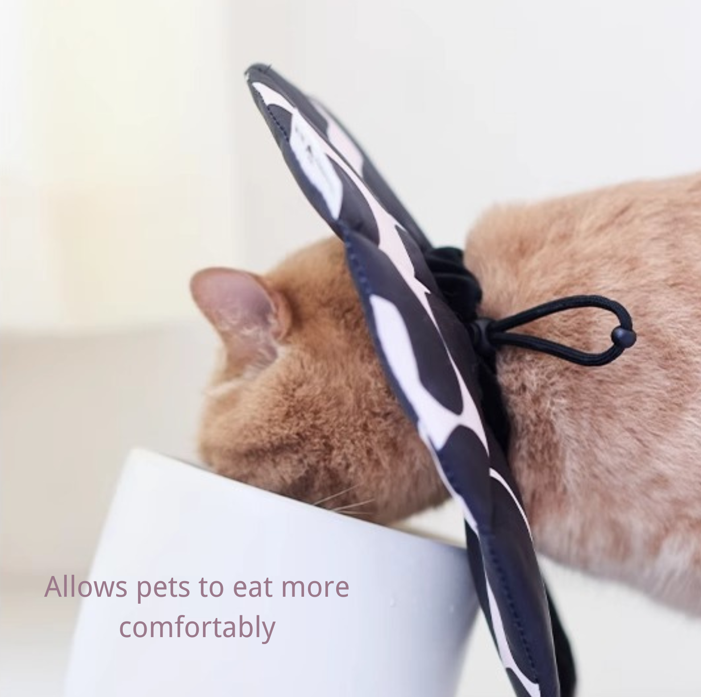 Soft Multi-Use E-Collar for Cats & Small Dogs
