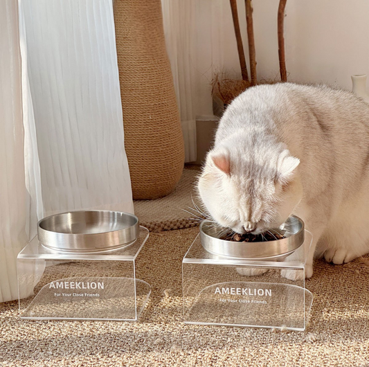 304 Stainless Steel Pet Food Bowl with Acrylic Stand