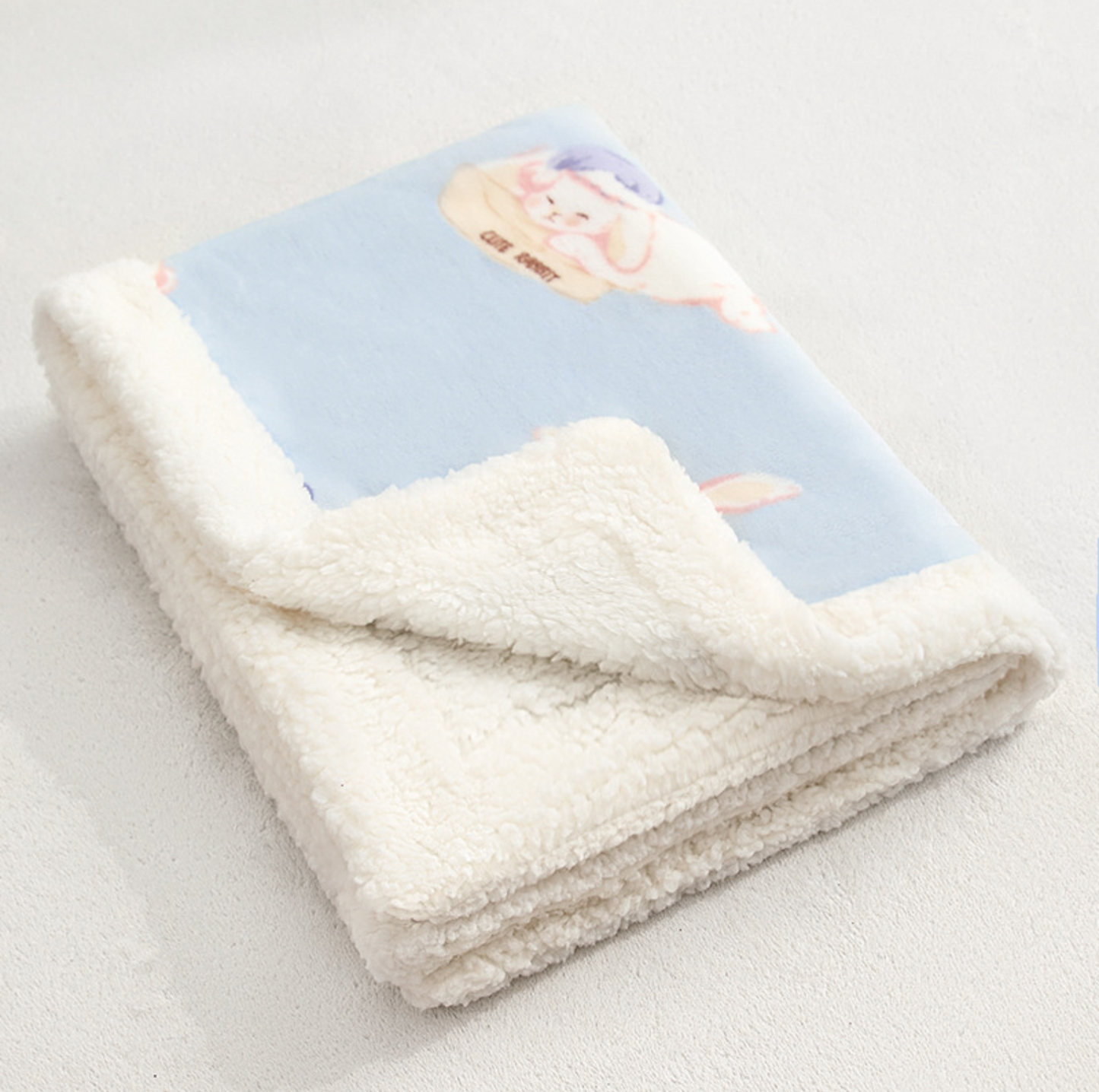 Winter Plush Pet Blanket