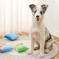 Chips Paw-ty: Plush Pet Chewing Toys with Built-in Squeakers