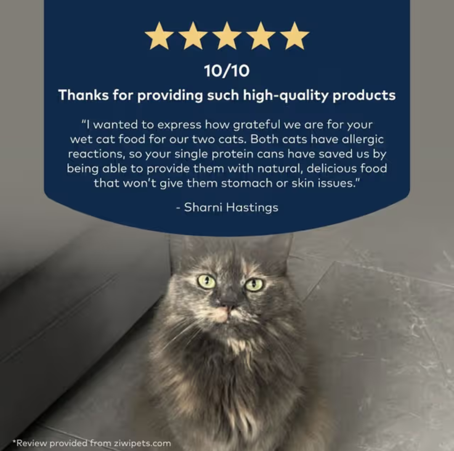 ZIWI Lamb All Lifestages Wet Cat Food Can 85g