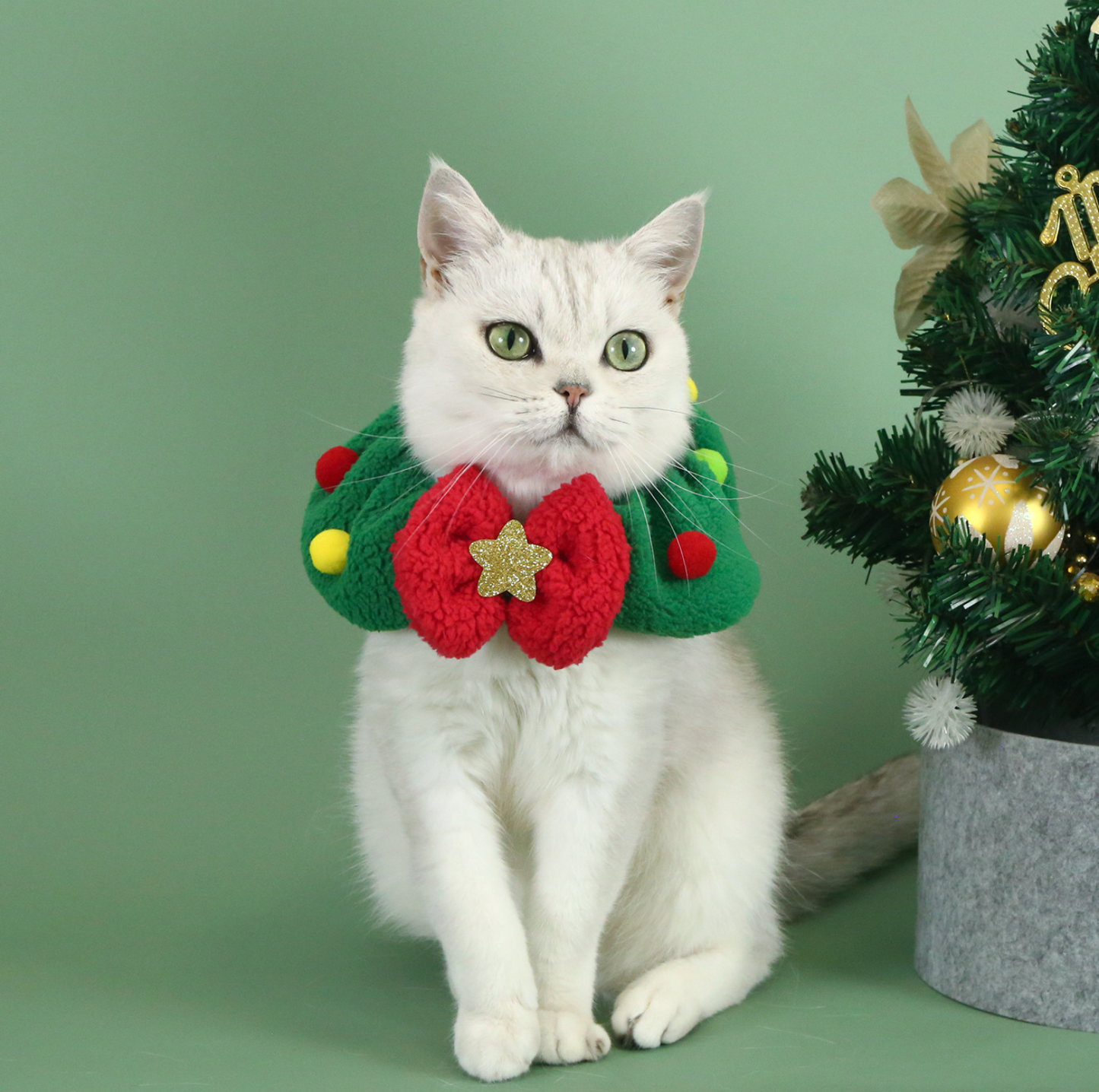 Christmas Pet Hat & Scarf Bundle – Festive Tie-On Set