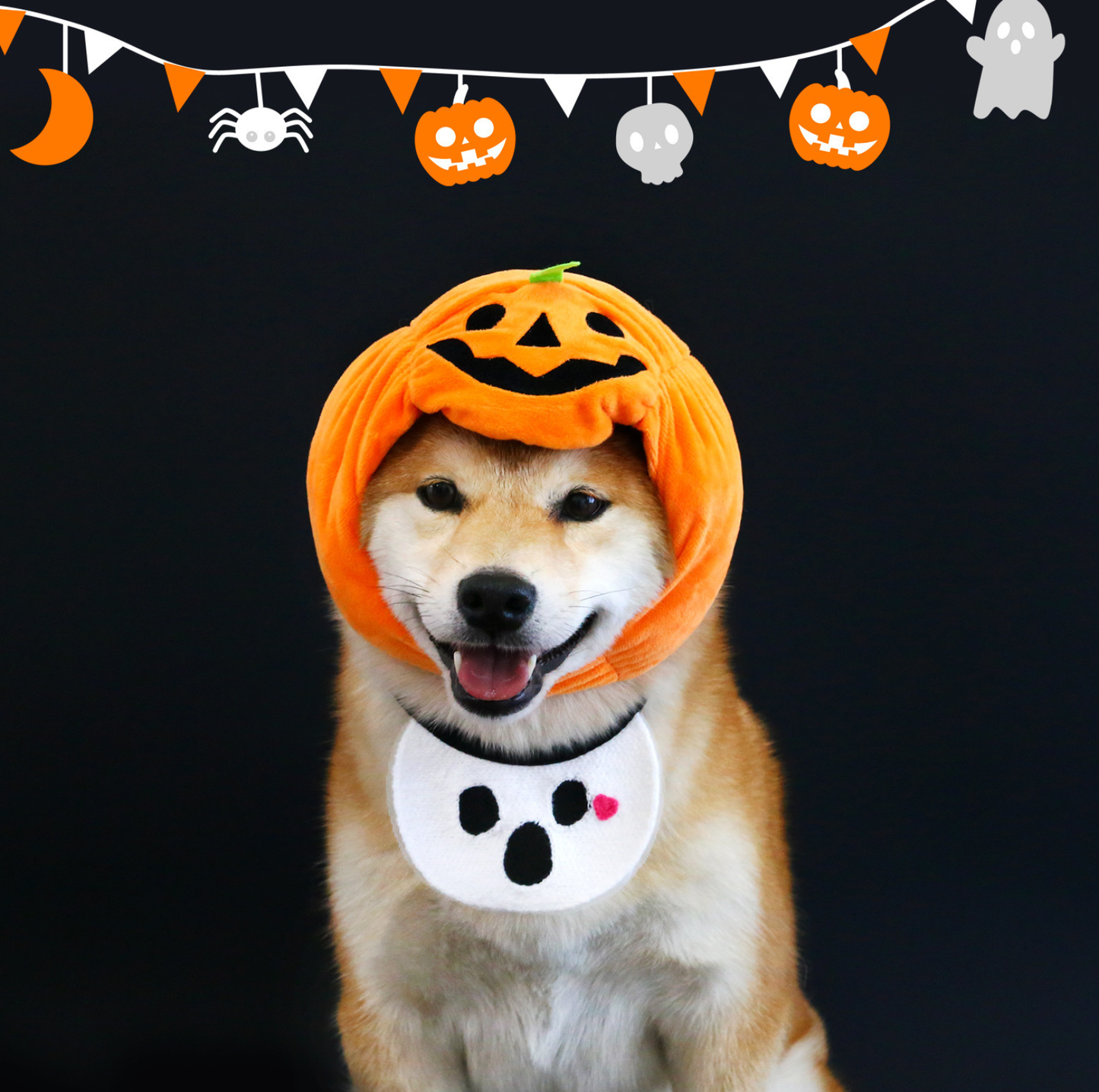 Halloween Pumpkin Hat & Ghost Bib Set for Cats and Dogs